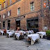 Osteria Le Logge: gdzie Toskania zasiada do stołu w Sienie