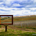 Wspólna scena dla apelacji Montepulciano w Toskanii w Carpineto